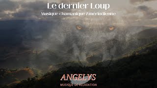 Le dernier Loup 🐺 Musique chamanique Amérindienne 🐺 [upl. by Amal570]