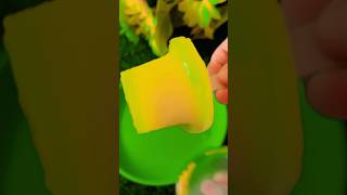 NATA DE COCO mango 🥭 🥭flavour ice cream 🍨 🍦youtubeshort viralvideo [upl. by Aneeled]