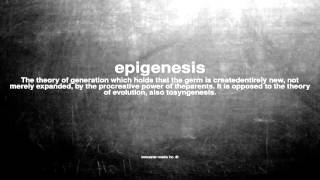 What does epigenesis mean [upl. by Snowman]