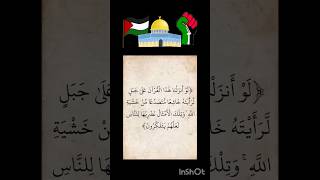 لو انزلنا هذا القرآن على جبل free Palestine 🇵🇸❤️🇩🇿 [upl. by Perlis379]