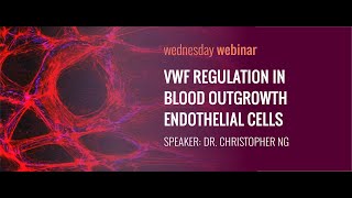 VWF Regulation in Blood Outgrowth Endothelial Cells with Dr Christopher Ng [upl. by Hanonew]