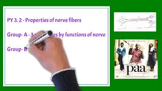 Properties of Nerve fiber [upl. by Lehmann232]