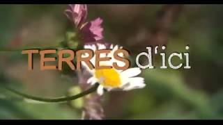 Terre dici plantes indigènes médicinales ile de la Réunion [upl. by Adahsar]