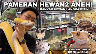 PAMERAN HEWAN ANEH UNIK DAN LANGKA DIDALAM MALL TERBESAR DIINDONESIA [upl. by Areic]