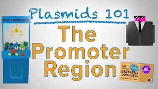 The Promoter Region  Plasmids 101 [upl. by Maurilia]