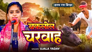 Ujala Yadav का हास्य रस बिरहा  बकलोल चरवाह  Bhojpuri Birha [upl. by Varipapa]