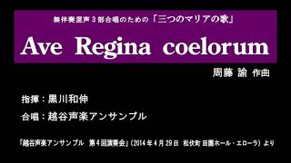 ■Ave Regina coelorum（無伴奏混声3部合唱のための「三つのマリアの歌」より）※2014429 越谷声楽アンサンブル [upl. by Eilloh]