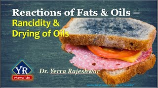 Fats and Oils  Rancidity amp Drying of Oils  Rancidity of oils  Rancidity of fats  YR Pharma Tube [upl. by Annaeoj]