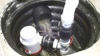 Zoeller M98 Sump Pump Workout [upl. by Lennej]