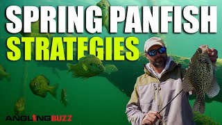 Spring Panfish Strategies [upl. by Llenral]