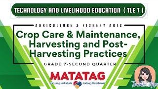 TLE 7 MATATAG CURRICULUM 2ND QTR CROP CARE amp MAINTENANCE HARVESTING amp POSTHARVESTING PRACTICES [upl. by Ynnaej]