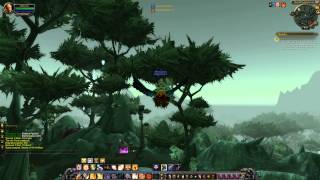 Quest 743 Secrets of the Arakkoa WoW human paladin [upl. by Weathers229]