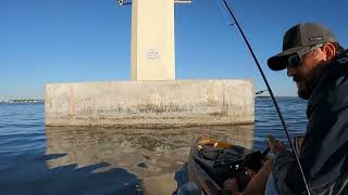 Big mangrove snappers bridge fishing on this beautiful Indian river day in Titusville Florida [upl. by Aneerol]