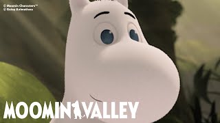 The curiosities of Moomintroll  Moominvalley compilation [upl. by Releyks579]