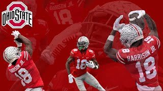 Marvin Harrison Jr Sophmore Highlights  Ohio State  Wide Receiver  2022 through 2023 Season [upl. by Fries]