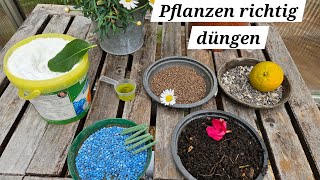 Pflanzen und Blumen richtig düngen Das große Düngevideo Darauf müsst ihr beim düngen achten [upl. by Maurizia]