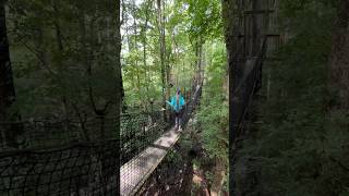 Lynches River County Park in SC bridge treetop treewalk roadtrip [upl. by Townie432]