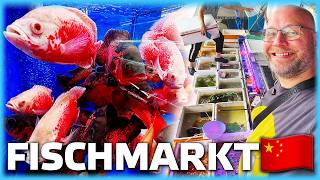 Der verrückteste Fischmarkt der Welt [upl. by Eemak351]