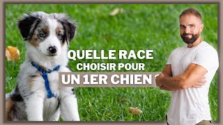 Quelle race choisir pour un 1er chien [upl. by Ellehsyt]