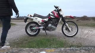 Suzuki 650 DR djebel [upl. by Orecic]