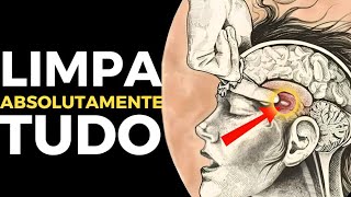 O Hooponopono Mais Potente de Todos — Limpeza Profunda [upl. by Noreht45]