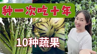 【种植70】 10种蔬果种一次吃十年，多年生的蔬菜，懒人种菜必看 ｜10 perennial vegetables and fruits must have in your veggie garden [upl. by Lathan312]