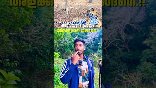 കടുവയുടെ പ്രായം അളക്കുന്നത് ഇങ്ങനെ  Periyar Tiger Reserve  shorts [upl. by Eibo]