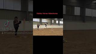 Hobby Horse Competition hobbyhorsing hobbyhorse hobbyhorses equestrian hobbyhorse [upl. by Amalbergas]