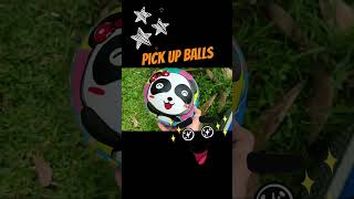 Pick up the balls playball collectball funvideo funnyvideo entertainment [upl. by Halueb]