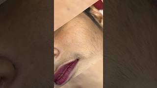 How to do face waxing Facial hair removal makeuptips skincare beauty pummybeautyparlour [upl. by Selim]