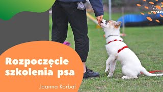 DOGINARY  Od czego zacząć szkolenie szczeniaka [upl. by Mckinney]