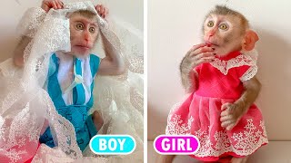 So cute Monkey Puka wears a dress made by Mom for the first time [upl. by Sarson]