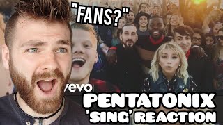 First Time Hearing PENTATONIX quotSINGquot Reaction [upl. by Ahsital845]