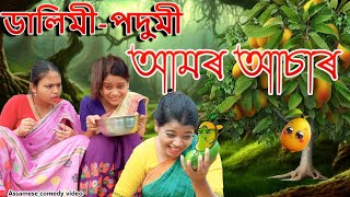 Dalimi podumir Aamr Asar  Assamese comedy video  Assamese funny video [upl. by Tatman]