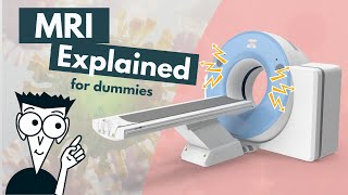 How does an MRI work  MRI basics explained  Animation [upl. by Sherourd]