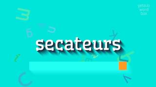 SECATEURS  HOW TO PRONOUNCE SECATEURS [upl. by Asoj]