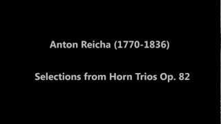 Selection from Horn Trios op 82 [upl. by Sykes]