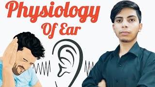 How Your Ear ACTUALLY Works Anatomy amp Function of the Ear [upl. by Dollie306]