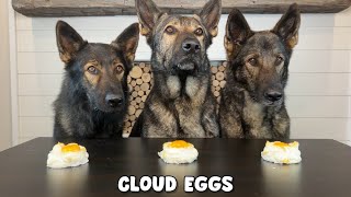 3 German Shepherds Review Foods [upl. by Jeannie]