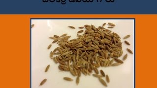 జీలకర్ర ఉపయోగాలు cuminseeds healthtips jeera remedies [upl. by Enneles652]