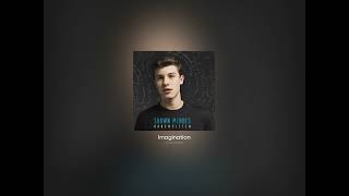 Imagination  Shawn Mendes Acapella  Vocals Only [upl. by Ttevi]