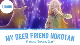 『1 HOUR』My Deer Friend Nokotan  OP THEME  Shikairo Days [upl. by Robin]