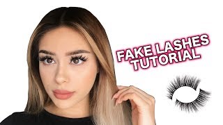 How to apply false eyelashes [upl. by Findlay568]