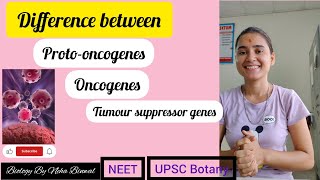 Difference between Protooncogenes Oncogenes and Tumour suppressor genes ll biology upsc neet [upl. by Lleral]