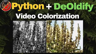 Film Movie Video colorization with DeOldify Python [upl. by Benil]