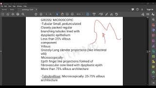 L80 PATHOLOGY NEOPLASTIC POLYPS [upl. by Ierbua]