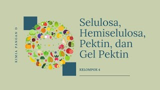 Selulosa Hemiselulosa Pektin dan Gel Pektin [upl. by Suirada]