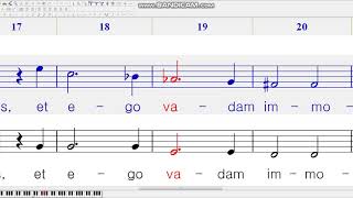 Tristis est anima mea Haydn Sop [upl. by Brause]