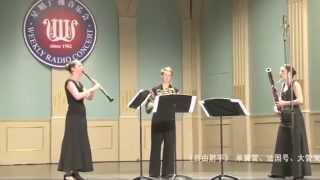 CM von Weber Der Freischütz for clarinet horn and bassoon [upl. by Nancy812]