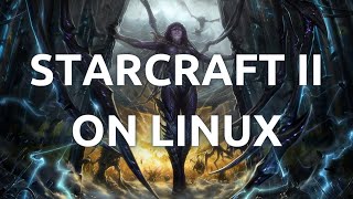 quotHow To Install and Play Starcraft II on Linux  StepbyStep Guidequot [upl. by Veradia]